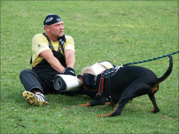 Summer training camp - Jelenec - 2007